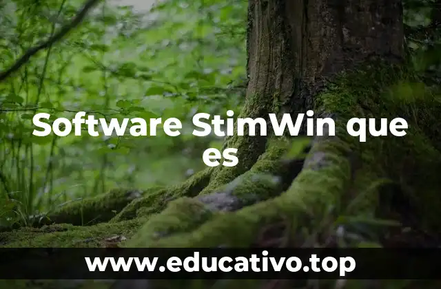 Software StimWin que es