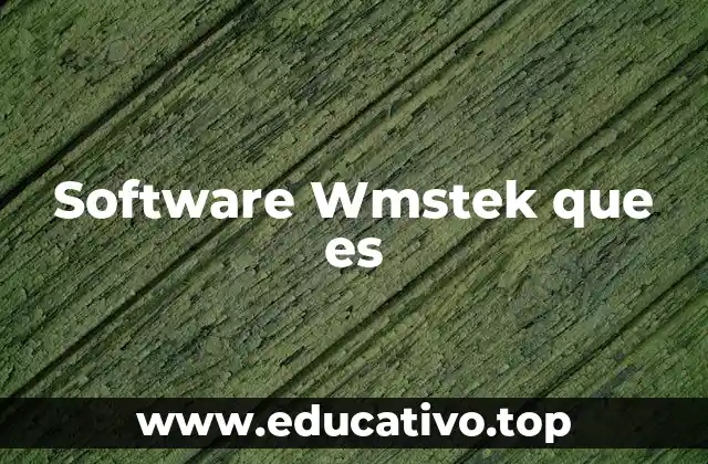 Software Wmstek que es