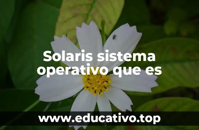 Solaris y su relevancia en la computación moderna