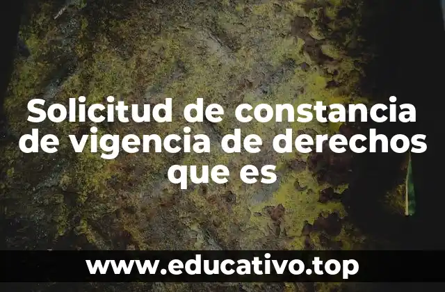Solicitud de constancia de vigencia de derechos que es