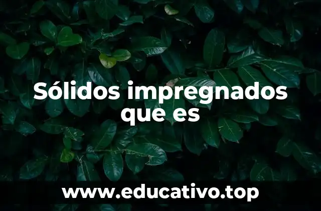 Sólidos impregnados que es