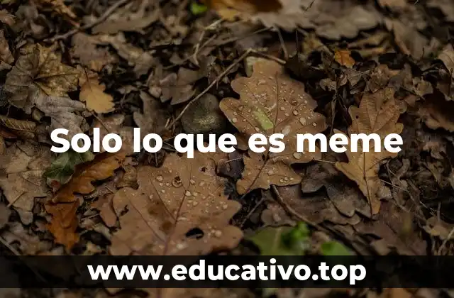 El impacto cultural de los memes en el lenguaje digital