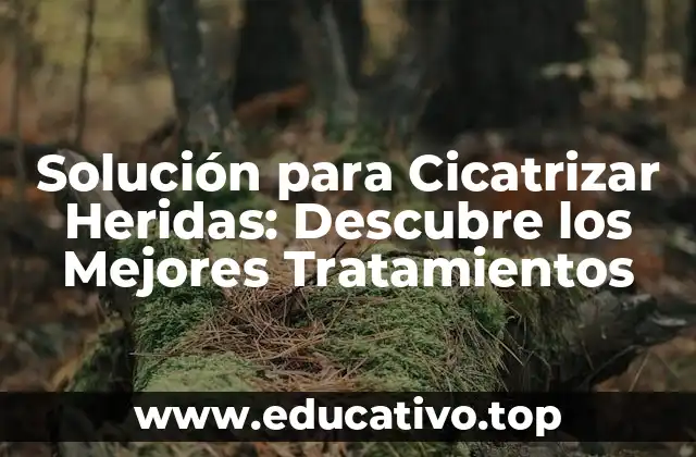 Solución para Cicatrizar Heridas: Descubre los Mejores Tratamientos