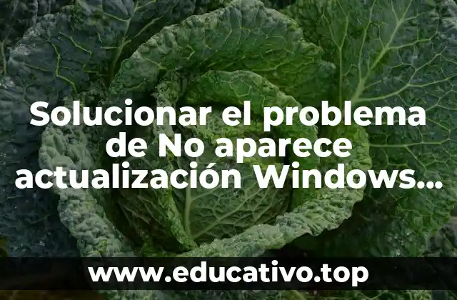 Solucionar el problema de No aparece actualización Windows 8.1 de manera efectiva
