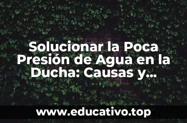 Solucionar la Poca Presión de Agua en la Ducha: Causas y Soluciones