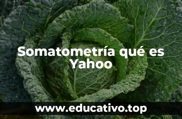 Somatometría qué es Yahoo