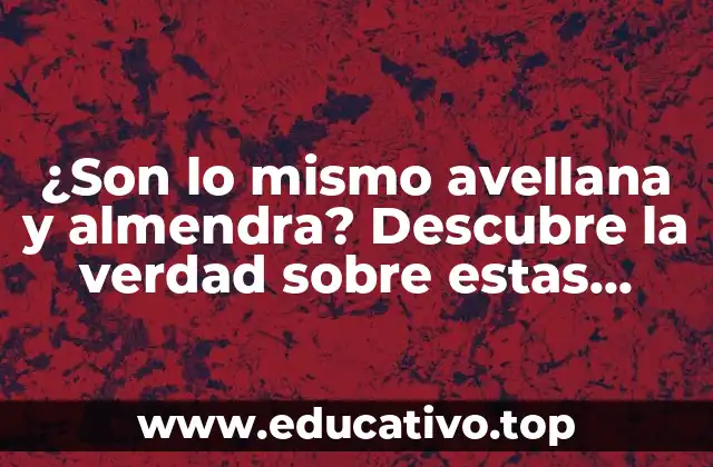 ¿Son lo mismo avellana y almendra? Descubre la verdad sobre estas semillas comestibles
