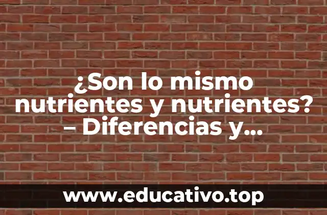 ¿Son lo mismo nutrientes y nutrientes? – Diferencias y similitudes
