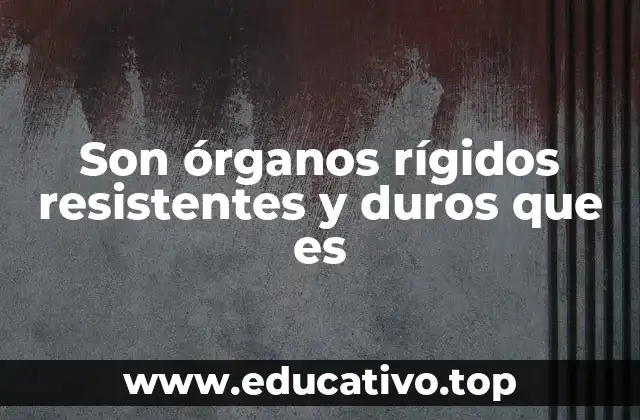 Son órganos rígidos resistentes y duros que es