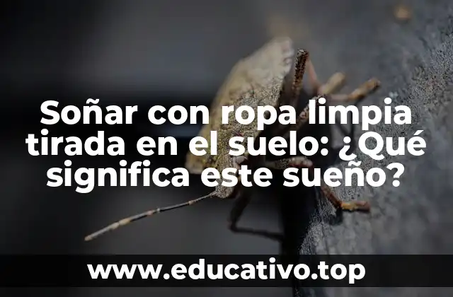 Soñar con ropa limpia tirada en el suelo: ¿Qué significa este sueño?