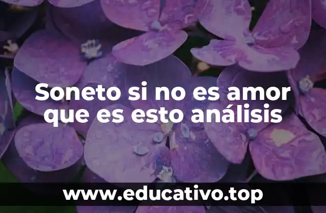 Soneto si no es amor que es esto análisis