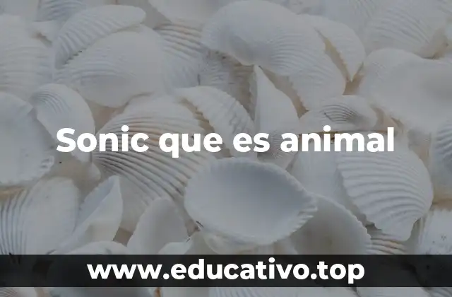 Sonic que es animal