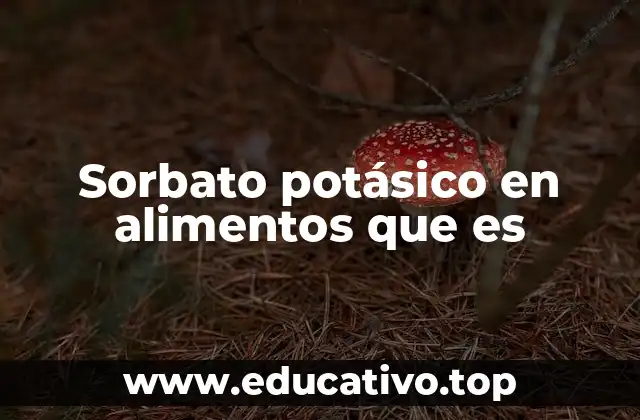 Sorbato potásico en alimentos que es