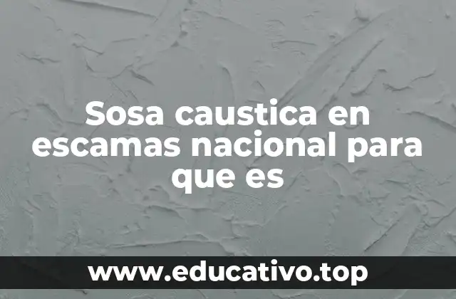 Sosa caustica en escamas nacional para que es