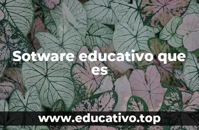 Sotware educativo que es
