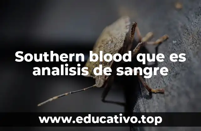 Southern blood que es analisis de sangre