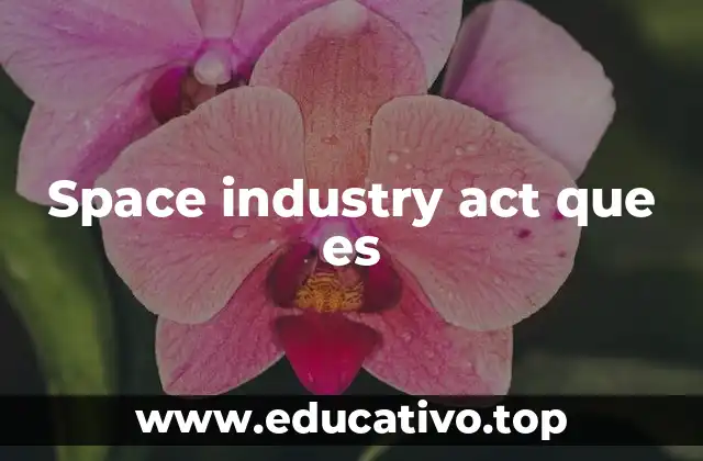 Space industry act que es