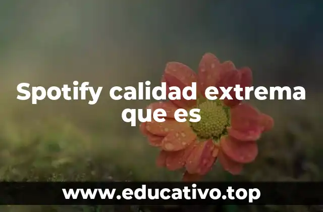 Spotify calidad extrema que es