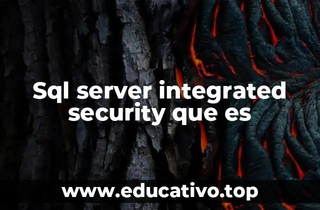 Sql server integrated security que es