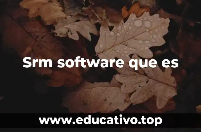 Srm software que es