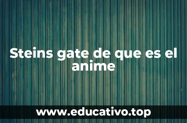 Steins gate de que es el anime