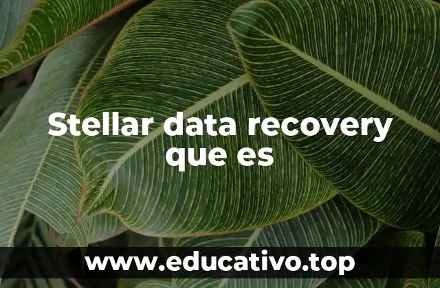 Stellar data recovery que es