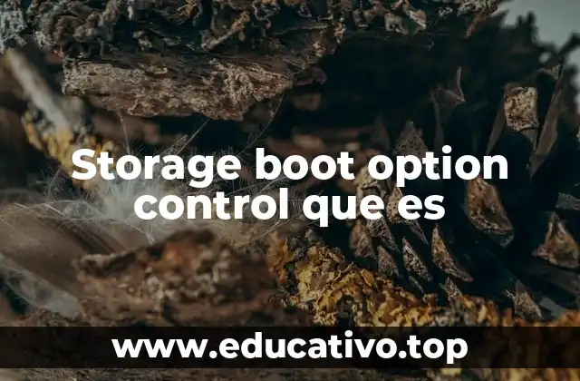 Storage boot option control que es