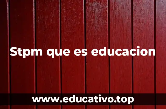 Stpm que es educacion