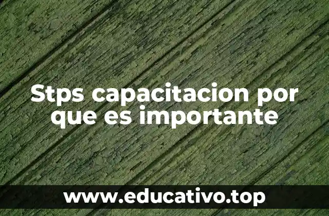 Stps capacitacion por que es importante