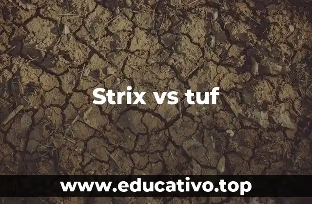 Strix vs tuf