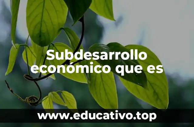 Subdesarrollo económico que es