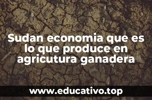 Sudan economia que es lo que produce en agricutura ganadera