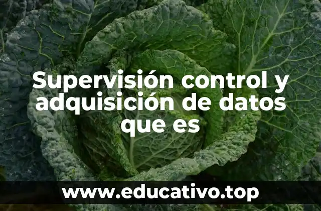 Supervisión control y adquisición de datos que es