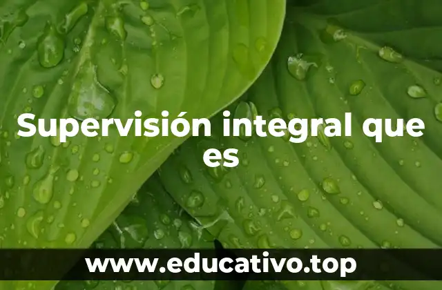 Supervisión integral que es