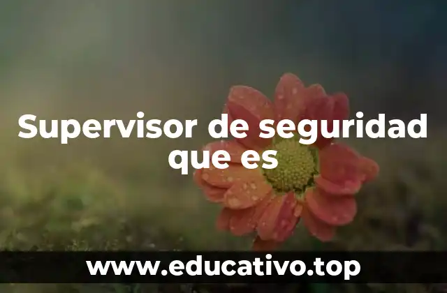 Supervisor de seguridad que es