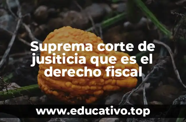 Suprema corte de jusiticia que es el derecho fiscal