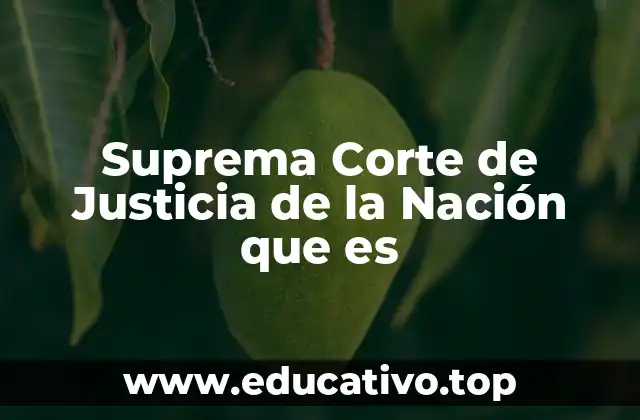 Suprema Corte de Justicia de la Nación que es