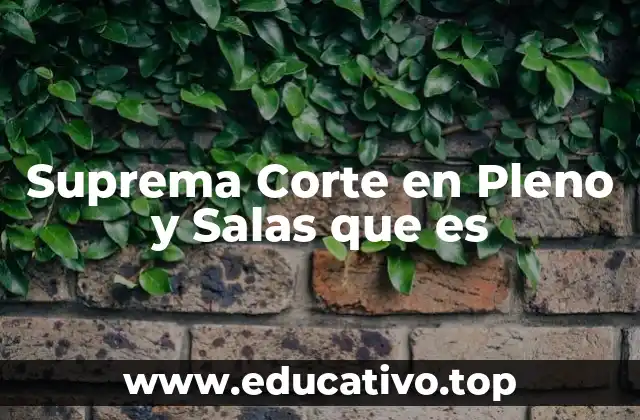 Suprema Corte en Pleno y Salas que es