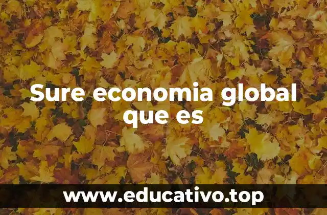 Sure economia global que es