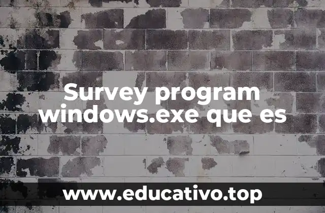 Survey program windows.exe que es