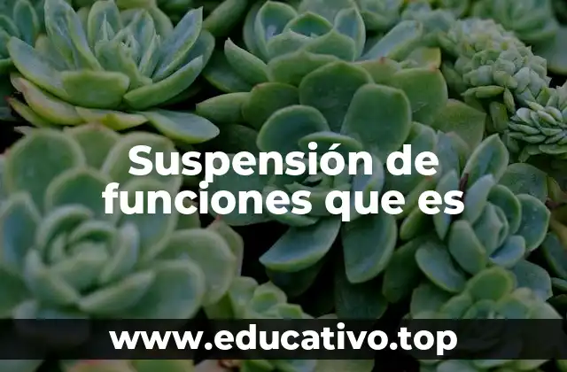 Suspensión de funciones que es