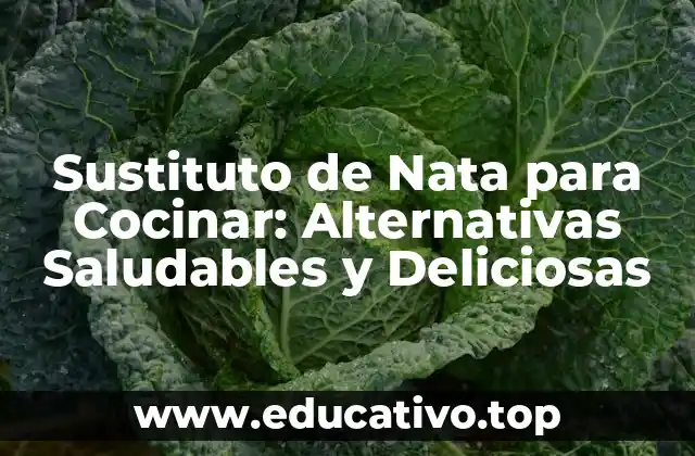 Sustituto de Nata para Cocinar: Alternativas Saludables y Deliciosas