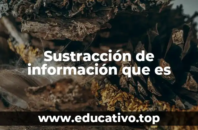 Sustracción de información que es