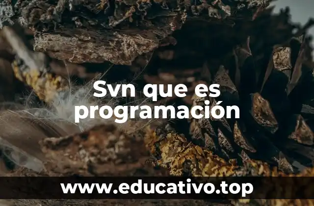 Svn que es programación