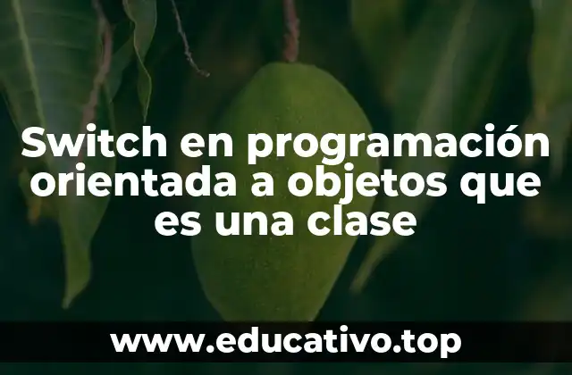 Switch en programación orientada a objetos que es una clase