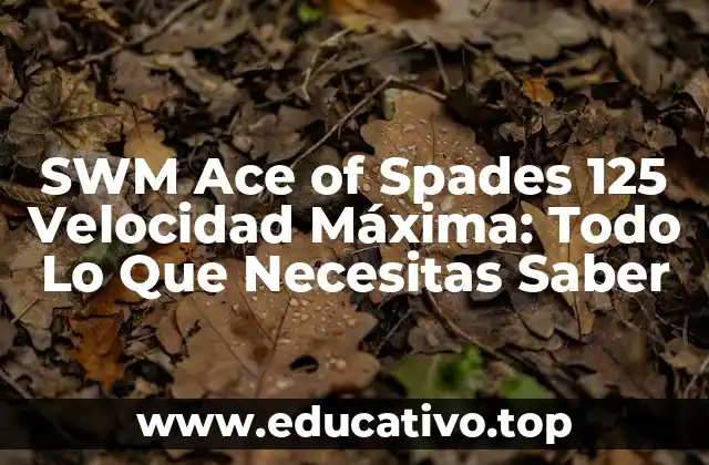 Diseño y Estética de la SWM Ace of Spades 125
