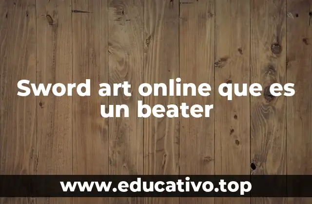 Sword art online que es un beater