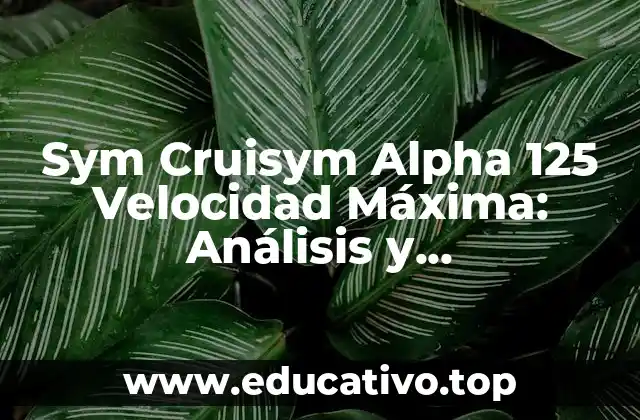 Sym Cruisym Alpha 125 Velocidad Máxima: Análisis y Características del Scooter Urbano