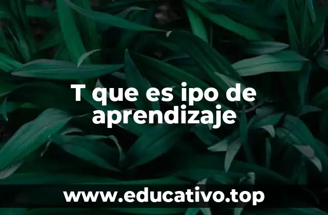 T que es ipo de aprendizaje