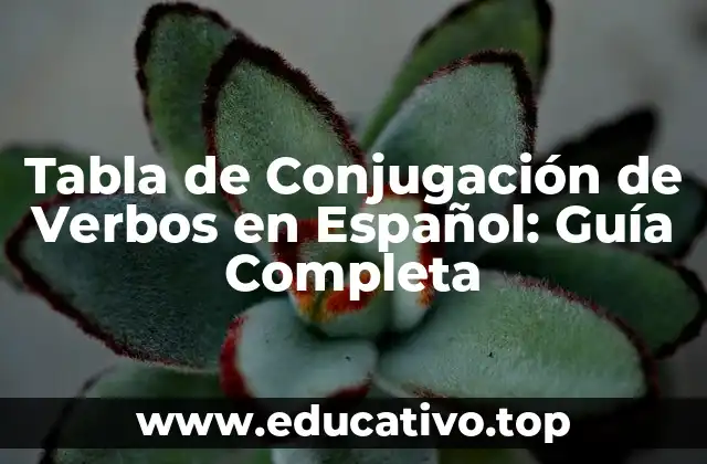 Tabla de Conjugación de Verbos en Español: Guía Completa